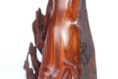 Platypus