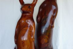 Two-Wallabies