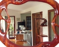1_Tree-Frog-Mirror